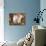 Domestic Cat, 9-Week, White-And-Tortoiseshell Sisters and in a Basket with Hazelnuts-Jane Burton-Photographic Print displayed on a wall