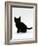 Domestic Cat, 9-Weeks, Black Shorthair Kitten-Jane Burton-Framed Photographic Print