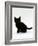 Domestic Cat, 9-Weeks, Black Shorthair Kitten-Jane Burton-Framed Photographic Print