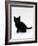 Domestic Cat, 9-Weeks, Black Shorthair Kitten-Jane Burton-Framed Photographic Print