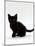 Domestic Cat, 9-Weeks, Black Shorthair Kitten-Jane Burton-Mounted Photographic Print