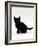 Domestic Cat, 9-Weeks, Black Shorthair Kitten-Jane Burton-Framed Photographic Print