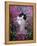 Domestic Cat, Black Bicolour Persian-Cross Kitten Among Rosebay Willowherb-Jane Burton-Framed Premier Image Canvas