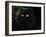 Domestic Cat, Black Persian Female at Night, Yellow Eyes Shining-Jane Burton-Framed Photographic Print