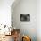 Domestic Cat, Blue Persian Longhair-Jane Burton-Photographic Print displayed on a wall