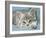 Domestic Cat, Blue Tabby Kitten-Jane Burton-Framed Photographic Print