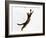 Domestic Cat, Brown Spotted Bengal Female Leaping for Toy-Jane Burton-Framed Photographic Print