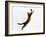 Domestic Cat, Brown Spotted Bengal Female Leaping for Toy-Jane Burton-Framed Photographic Print