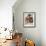 Domestic Cat, Brown Ticked Tabby Kitten, Under Blanket with Teddy Bear-Jane Burton-Framed Photographic Print displayed on a wall