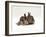 Domestic Cat, Brown Ticked Tabby Kitten with Two 'Wild' Rabbits, Colour Coordinated-Jane Burton-Framed Photographic Print