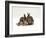 Domestic Cat, Brown Ticked Tabby Kitten with Two 'Wild' Rabbits, Colour Coordinated-Jane Burton-Framed Photographic Print