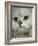 Domestic Cat, Chinchilla Persian Close up of Face-Jane Burton-Framed Photographic Print