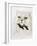 Domestic Cat, Conceptual Image-SMETEK-Framed Photographic Print