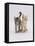 Domestic Cat (Felis Catus) 8-Week-Old Kittens-Jane Burton-Framed Premier Image Canvas