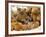 Domestic Cat, Five Kittens in Cot with Teddy Bears-Jane Burton-Framed Photographic Print