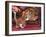 Domestic Cat, Ginger and White Kitten Looking at Reflection in Mirror-Jane Burton-Framed Photographic Print