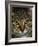 Domestic Cat, Head Portrait of Tabby-Jane Burton-Framed Photographic Print