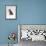 Domestic Cat, Interacting with Baby Grey Squirrel-Jane Burton-Framed Photographic Print displayed on a wall