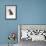 Domestic Cat, Interacting with Baby Grey Squirrel-Jane Burton-Framed Photographic Print displayed on a wall