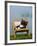 Domestic Cat, Kitten Sleeping on a Deckchair-Petra Wegner-Framed Photographic Print