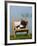 Domestic Cat, Kitten Sleeping on a Deckchair-Petra Wegner-Framed Photographic Print