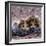 Domestic Cat Kittens, 8-Weeks, Tortoiseshell-And-White Sisters, (Persian-Cross')-Jane Burton-Framed Photographic Print