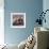 Domestic Cat Kittens, 8-Weeks, Tortoiseshell-And-White Sisters, (Persian-Cross')-Jane Burton-Framed Photographic Print displayed on a wall