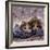 Domestic Cat Kittens, 8-Weeks, Tortoiseshell-And-White Sisters, (Persian-Cross')-Jane Burton-Framed Photographic Print