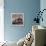 Domestic Cat Kittens, 8-Weeks, Tortoiseshell-And-White Sisters, (Persian-Cross')-Jane Burton-Framed Premier Image Canvas displayed on a wall