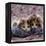 Domestic Cat Kittens, 8-Weeks, Tortoiseshell-And-White Sisters, (Persian-Cross')-Jane Burton-Framed Premier Image Canvas