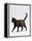 Domestic Cat, One-Year Dark Tortoiseshell Shorthair Cat-Jane Burton-Framed Premier Image Canvas