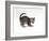 Domestic Cat, Playful 7-Week Silver Spotted Kitten-Jane Burton-Framed Photographic Print