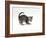 Domestic Cat, Playful 7-Week Silver Spotted Kitten-Jane Burton-Framed Photographic Print