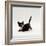 Domestic Cat, Playful Tortoiseshell Kitten-Jane Burton-Framed Photographic Print