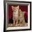 Domestic Cat, Portrait of Ginger and Spotted-Tabby Kittens Under Red Velours Curtain-Jane Burton-Framed Photographic Print