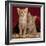 Domestic Cat, Portrait of Ginger and Spotted-Tabby Kittens Under Red Velours Curtain-Jane Burton-Framed Photographic Print