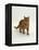 Domestic Cat, Red Tabby Male-Jane Burton-Framed Premier Image Canvas