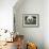 Domestic Cat, Seal Bicolour Ragdoll Kitten Decked in Daisy Chain-Jane Burton-Framed Photographic Print displayed on a wall