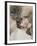 Domestic Cat, Stray Siamese Female with Single Kitten-Jane Burton-Framed Photographic Print