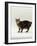 Domestic Cat, Tabby Manx No Tail-Jane Burton-Framed Photographic Print