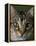 Domestic Cat, Tabby Tortoiseshell, Close-Up of Eyes with Pupils Dilated Closed in Bright Light-Jane Burton-Framed Premier Image Canvas