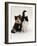 Domestic Cat, Tortoiseshell and Black-And-White Kittens-Jane Burton-Framed Photographic Print