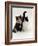 Domestic Cat, Tortoiseshell and Black-And-White Kittens-Jane Burton-Framed Photographic Print