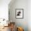 Domestic Cat, Tortoiseshell and Black-And-White Kittens-Jane Burton-Framed Photographic Print displayed on a wall