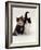 Domestic Cat, Tortoiseshell and Black-And-White Kittens-Jane Burton-Framed Photographic Print