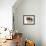 Domestic Cat, Tortoiseshell and White-Jane Burton-Framed Premium Photographic Print displayed on a wall