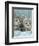 Domestic Cat, Two 8-Week Blue Tabby Kittens-Jane Burton-Framed Premium Photographic Print