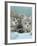 Domestic Cat, Two 8-Week Blue Tabby Kittens-Jane Burton-Framed Photographic Print