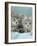 Domestic Cat, Two 8-Week Blue Tabby Kittens-Jane Burton-Framed Photographic Print