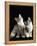 Domestic Cat, Two 8-Week Tabby Tortoiseshell and White Kittens-Jane Burton-Framed Premier Image Canvas